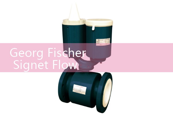 Georg Fischer Signet Flow Meter: Paddlewheel Sensor Installation Guides